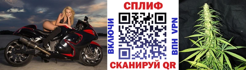 где купить   blacksprut зеркало  Бошки Шишки Amnesia  Чишмы 